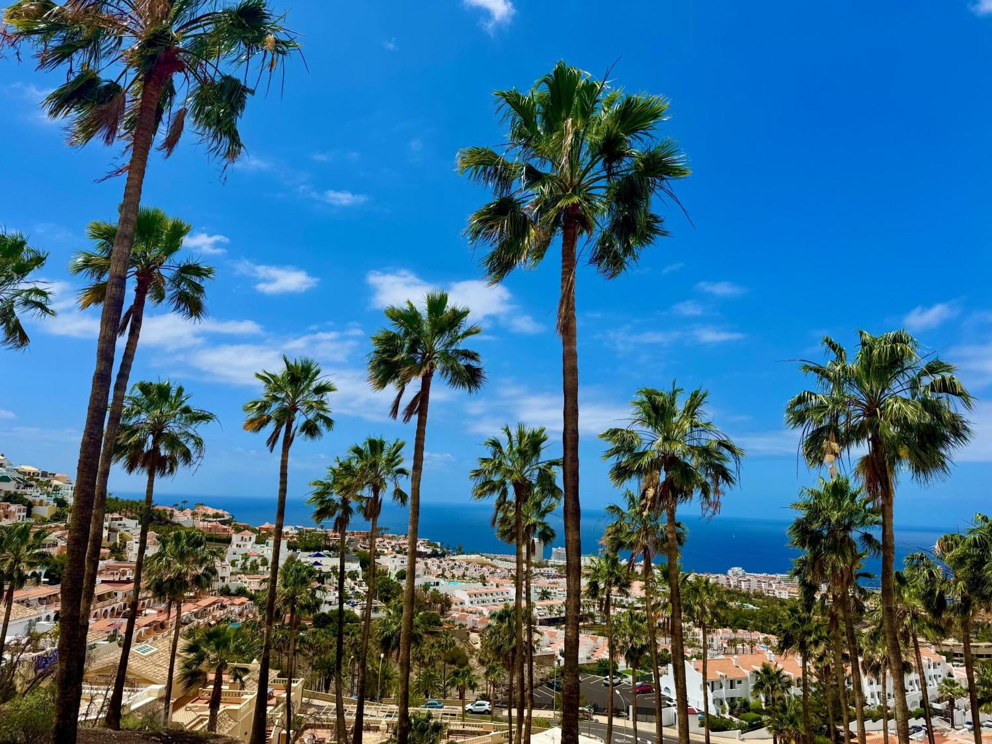 San Eugenio Charming Renovated Apartment Tenerife Costa Adeje  Exterior foto